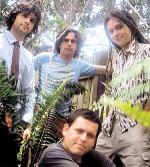 Muzzy Stars of Pop Put in a Whole Lotta Pep